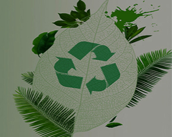 Quản lý cây cọ & cây